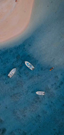 沙海