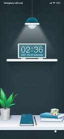 Desktop ornaments