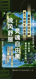 晚风舒服灵魂自由黑
