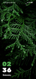 Water Droplets