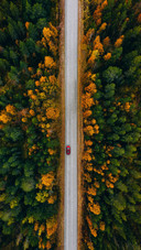 Forest road-03