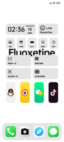 氟西汀 小组件
