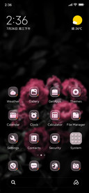 Night Rose