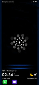 Rex_DWM3