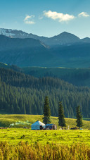 Scenery (12)