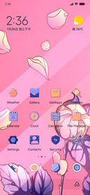 Pink Beauty