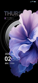 紫罗兰 永恒之恋