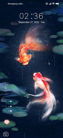 Lucky goldfish
