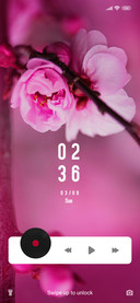 Cherry2