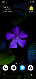 Purple Serenity