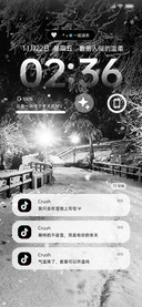 浪漫的不是雪