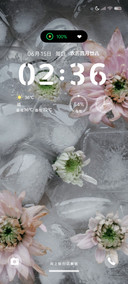 冰块琉璃花