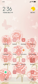 romantic rose