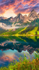 Scenery (19)