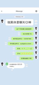细黑体是聊天的神