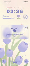 Purple Tulip