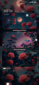 Romantic+Rose