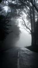 Dark (12)