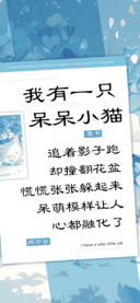我有一只呆呆小猫