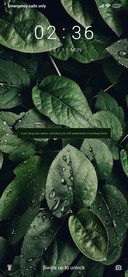 Rich Leaves_3MDS