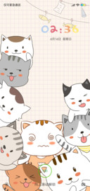 猫咪聚会