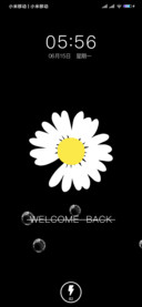 雏菊welcome back
