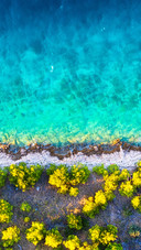 Summer by the Seaside
