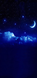 最美的夜