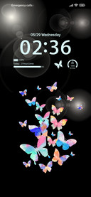 Colorful butterfly