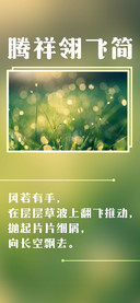 腾祥翎飞简