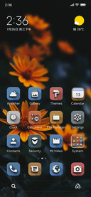 Orange flowers v12