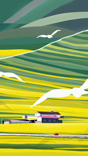 Illustration of multilevel terraced fields