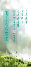 属于我的星辰