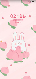 只爱蜜桃的兔兔