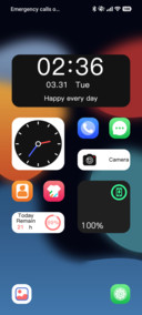 Flagship Lite