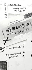 鳄鱼的眼泪加粗体