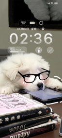 爱学习的呆呆狗