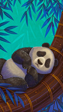 panda sleep