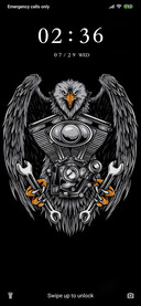 Eagle Face -Dark_3MDS