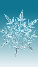 Closeup of snowflakes