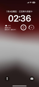 AP19深色米果