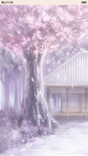 最美樱花落