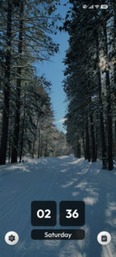 Silent Wilderness