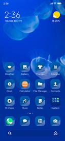 Wildlife_Jelly2