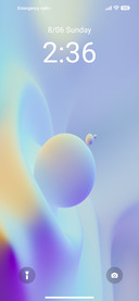 FyM v9
