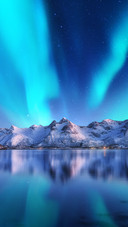 Scenery (12)