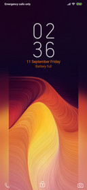 Black Orange