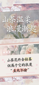 山茶温柔浪漫渐起