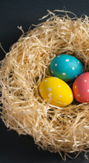 Easter (3)