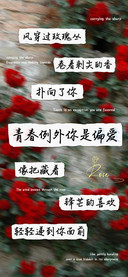 青春例外你是偏爱